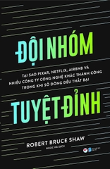 Đội Nhóm Tuyệt Đỉnh - Tại sao Pixar, Netflix, Airbnb và nhiều công ty công nghệ khác thành công trong khi số đông đều thất bại