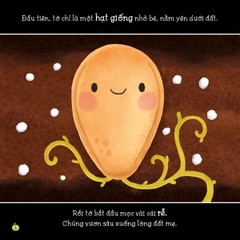 Quả Bí Ngô Bé Nhỏ - Câu Chuyện Tự Nhiên - Tân Việt Books