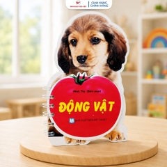 Combo 4 cuốn: Học Từ Theo Chủ Đề - Tái Bản 2026 - Song Ngữ Anh Việt - Sách cho bé tập nói