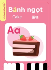 Máy đọc thẻ Ô tô thần kì - 3 ngôn ngữ Anh - Trung - Việt