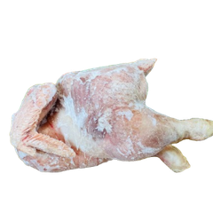 Gà Su Mô to 3-4Kg/ Con - 巨大丸鶏