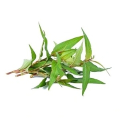 Rau Răm Gói 50g - ベトナムハーフ