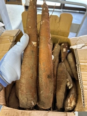 Sắn - Khoai Mì 1Kg