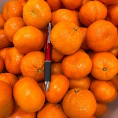 Quýt Úc Ngọt 1Kg
