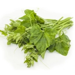 Ngọn Bí