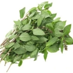 Rau Húng Quế - バジル 50g