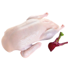 Vịt - Nguyên Con CP Tem Đỏ (丸鴨) 1.6-1.8Kg