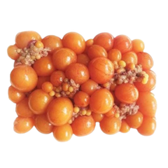 Trứng Trễ Non Gà - 冷凍卵巣