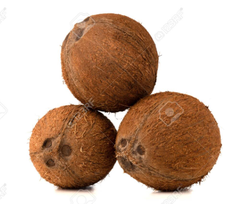 Dừa Khô - 丸玉熟したココナッツ