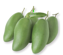 Xoài Thái Ngọt タイ産マンゴー