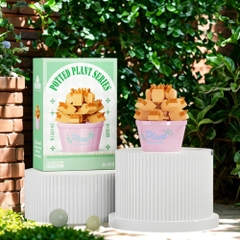 Combo 3 bộ lắp ghép chậu hoa- 56 hạt - Full Box - Sku : LG-W1503-02 ( VAT 001-C3-11 ) - K116-T2-S2