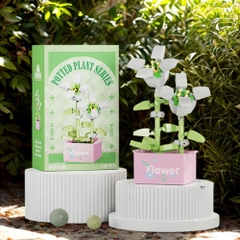 Combo 2 bộ Lắp Ghép Lego Hoa bách hợp - 140 hạt - Full Box - Sku : LG-W1604-04 - ( VAT 001-C2-11 ) - K126-T2-S4