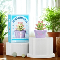 Combo 3 bộ lắp ghép chậu hoa -80 hạt - Full Box - Sku : LG-W1503-1 ( VAT 001-C3-11 ) - K116-T2-S1