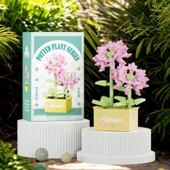 Combo 2 bộ Lắp Ghép Lego cây hoa đậu tằm - 149 hạt - Full Box - Sku : LG-W1604-10 - ( VAT 001-C2-11 ) - K126-T2-S10