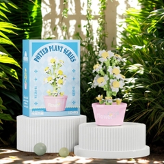 Combo 3 bộ Lắp Ghép Lego Hoa Cúc La Mã - 112 hạt - Full Box - Sku : LG-W1504-04 - (VAT 001-C3-11) - K115-T2-S4