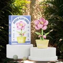 Combo 3 bộ Lắp Ghép Lego Hoa dâm bụt - 46 hạt - Full Box - Sku : LGW1504-05 - ( VAT 001-C3-11 ) - K115-T2-S5