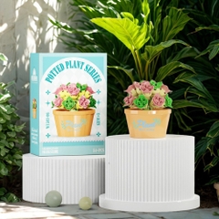 Combo 3 bộ lắp ghép chậu hoa - 54 hạt - Full Box - Sku : LG-W1503-06 ( VAT 001-C3-11 ) - K116-T2-S6