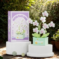 Combo 2 bộ Lắp Ghép Lego Hoa Lan Hồ Điệp - 228 hạt - Full Box - Sku : LG-W1604-08 - ( VAT 001-C2-11 ) - K126-T2-S8