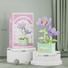 Combo 2 bộ Lắp Ghép Lego hoa nghệ tây - 174 hạt - Full Box - Sku : LG-W1604-12 -  ( VAT 001-C2-11 ) - K126-T2-S12