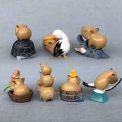 Mô Hình bộ 7 capi bara - Cao 5.5 - 7.5cm - nặng 300gram - Figure capi bara - bọc túi OPP - Hộp Màu - Hm19 N3-K48-T2-S1