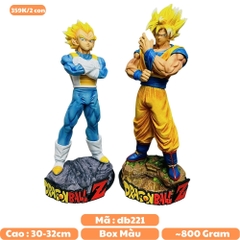 Mô hình DragonBall Songoku và vegeta - Cao 30 - 32cm - nặng 800gram - Phụ kiện : Đế - Dragon Ball - Box Xốp - Hộp Carton N1-K48-T4-S1