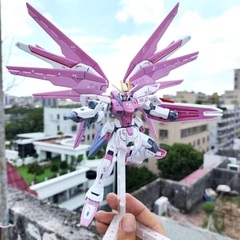 MG 1/100 FREEDOM 6650 GUNDAM Hoa anh Đào hàng Cao cấp - Cao 18cm - nặng 1kg sku :MG 6650  - Box Màu - N1-K16-T4-S2