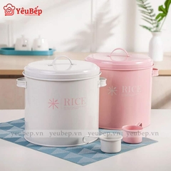 Thùng Đựng Gạo 2,5kg, 5kg, 10kg Bằng Sắt Dễ Thương Cho Gia Đình Ít Người