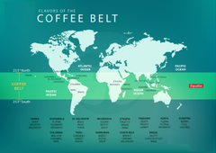 Coffee Bean Belt - Vành Đai Cà Phê Trên Bản Đồ Thế Giới