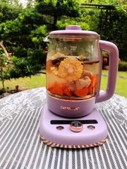 ẤM DƯỠNG SINH ĐA NĂNG ĐUN CHƯNG NẤU HẤP 4IN1 DAEWOO YS08