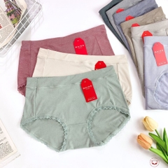 QL nữ cotton sợi tre viền ren freesize 48-65kg NO916