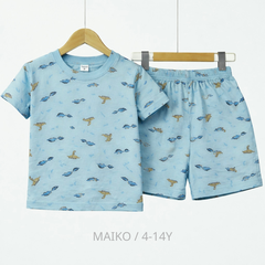 BỘ CỘC TAY COTTON 4 CHIỀU IN TRÀN BÉ TRAI 4-14 TUỔI