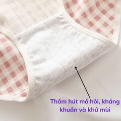 [ƯU ĐÃI] QUẦN LÓT TEEN HỌC SINH COTTON TĂM A2427