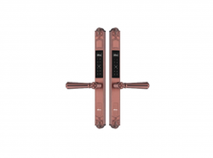 Khóa Vân Tay Hai Mặt Chống Nước Dùng Cho Cửa Nhôm, Sắt, Inox | EL686 AC Loại Wifi App