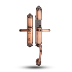 Khóa Biệt Thự Tân Cổ Điển -EL822 AC -Wifi app