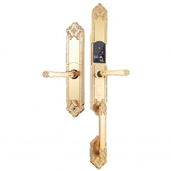 Khóa Đại Sảnh Biệt Thự Tân Cổ Điển | EL819 Gold Loại Wifi App