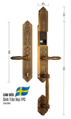 Khóa Đại Sảnh Biệt Thự Tân Cổ Điển - FACE ID 3D | EL886 GB Loại Wifi App