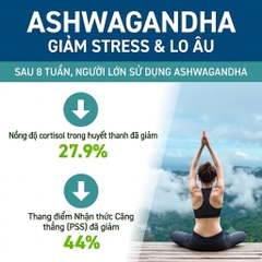 Viên Uống Sâm Ấn Độ Hỗ Trợ Giảm Stress Applied Nutrition Ashwagandha KSM-66 (60 Viên)