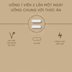 Viên Uống Sâm Ấn Độ Hỗ Trợ Giảm Stress Applied Nutrition Ashwagandha KSM-66 (60 Viên)