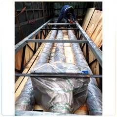 Máy nâng trục vít đồng tốc, 50 - 100 Tấn