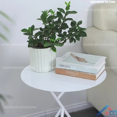 Bàn cafe chân độc đáo - BCF 14