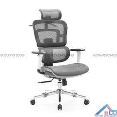 Ghế công thái học Ergonomic chân nhựa -GX 21