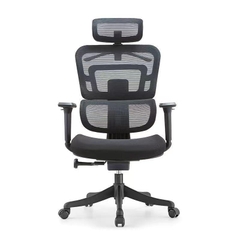 Ghế công thái học Ergonomic chân nhựa -GX 21