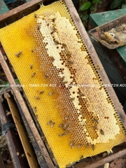 CAO TINH NGHỆ THUẬN THIÊN SHOP