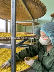 VIÊN TINH NGHỆ SỮA ONG CHÚA MIX 3 vị 