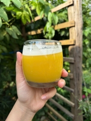 TINH NGHỆ MẬT ONG ĐÔNG TRÙNG HẠ THẢO