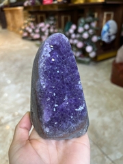 Mầm Thạch Anh Tím Tụ Trí Khai Tâm