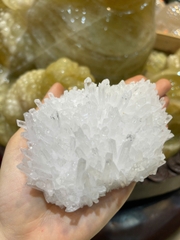 Mầm Tinh Thể Thạch Anh Trắng Bạch Kim Tinh Khiết