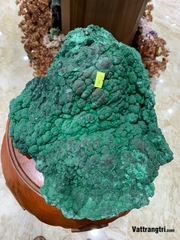 Khối đại cảnh khổng tước nguyên sinh 35m