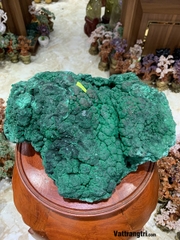 Khối đại cảnh khổng tước nguyên sinh 35m