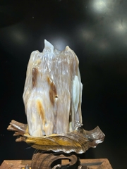 Khối gỗ hoá ngọc 39x23x15cm